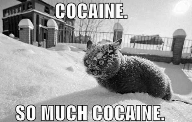 cocaine-chat-flox.jpg